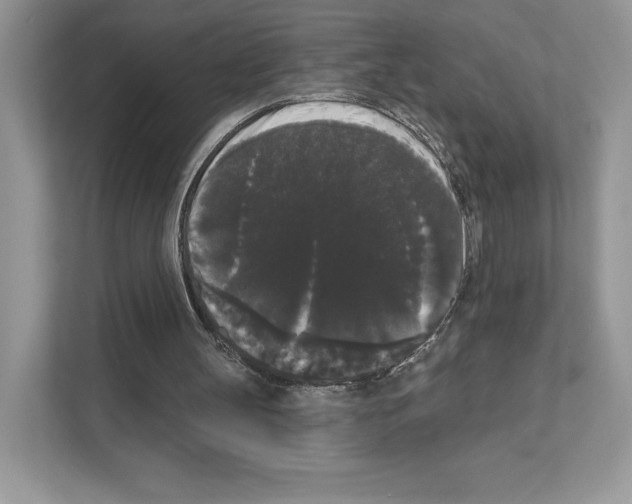 X0000111020147200907310939