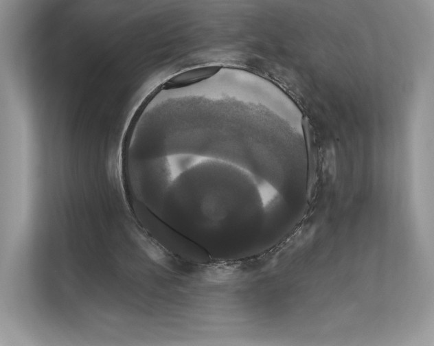 X0000111020148200907310939