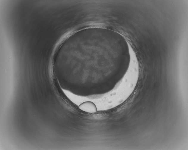 X0000111020149200907310939