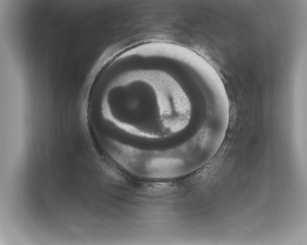X0000111020151200907310939