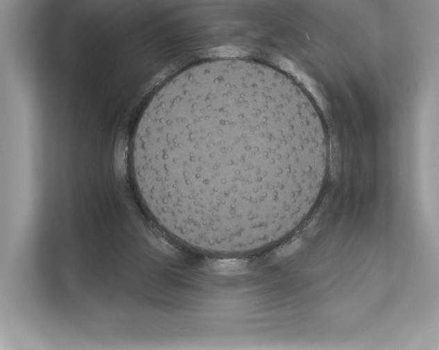 X0000111020153200907310939