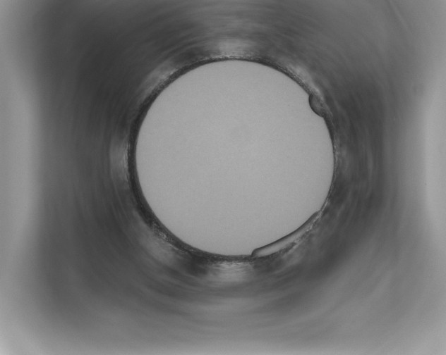 X0000111020154200907310939