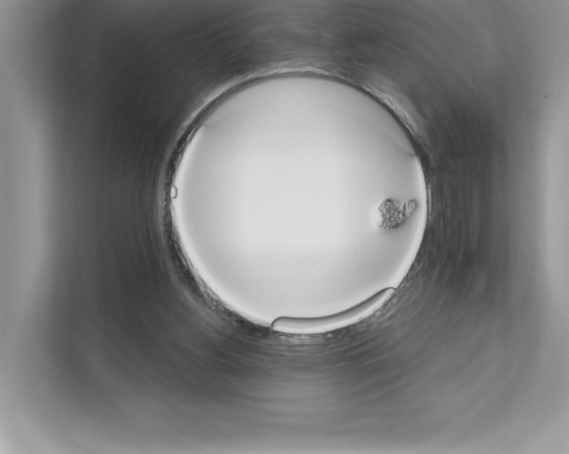 X0000111020156200907310939