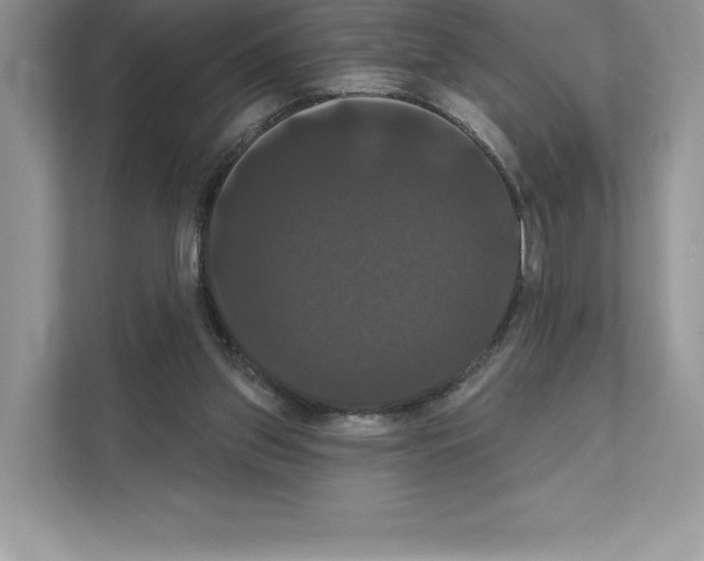 X0000111020157200907310939