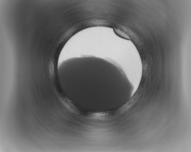 X0000111020158200907310939