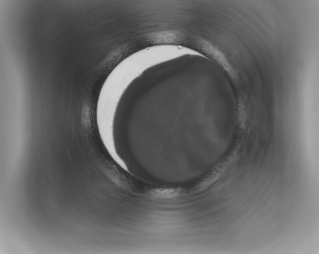 X0000111020161200907310939