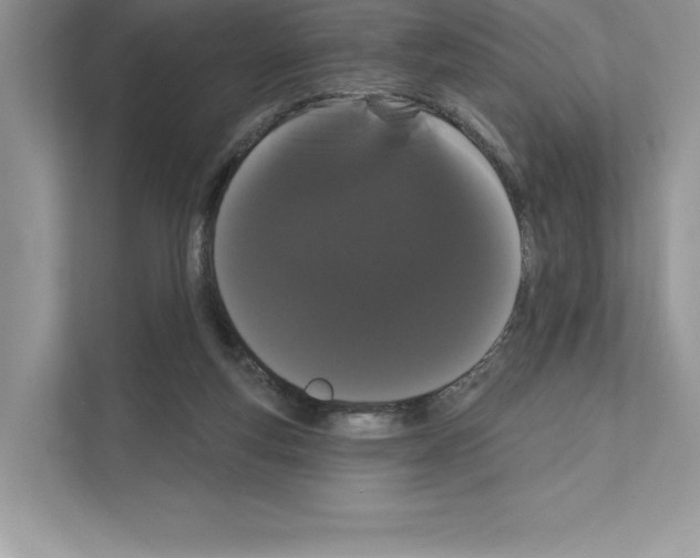 X0000111020163200907310939