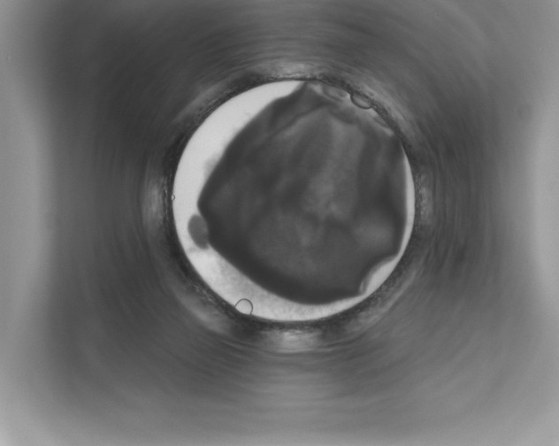 X0000111020165200907310939