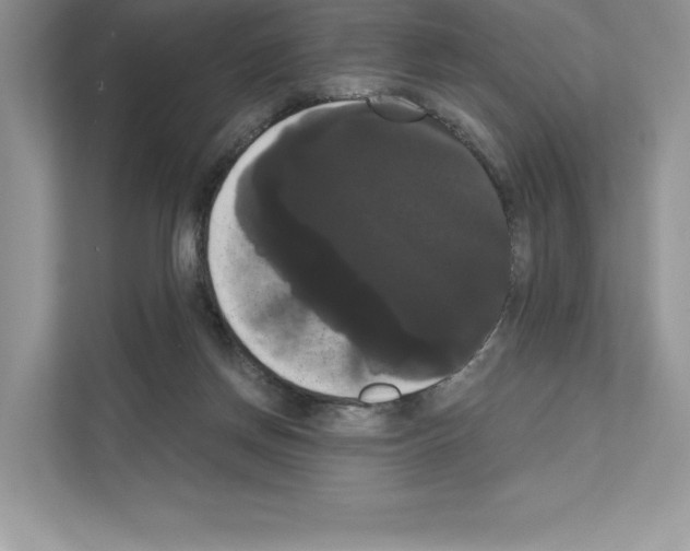 X0000111020166200907310939