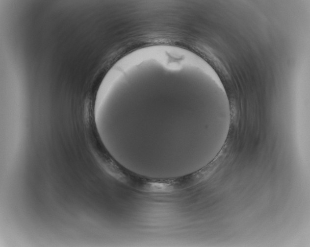 X0000111020167200907310939