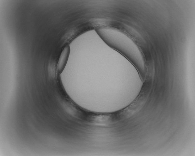X0000111020168200907310939