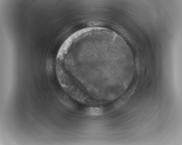 X0000111020169200907310939