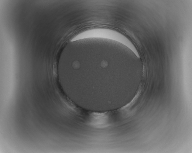 X0000111020170200907310939