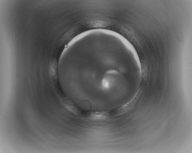 X0000111020175200907310939