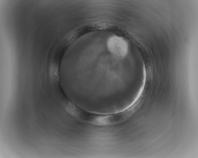 X0000111020178200907310939