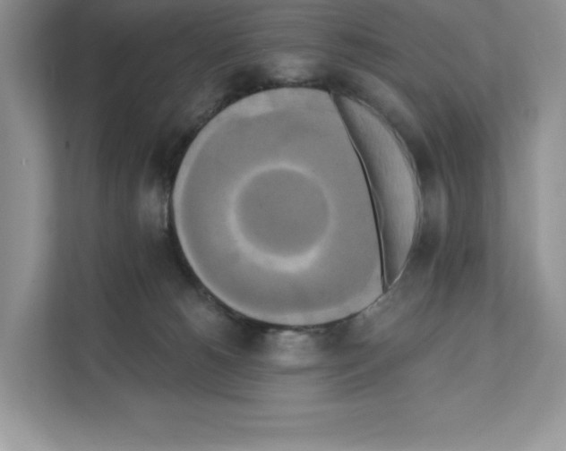 X0000111020180200907310939