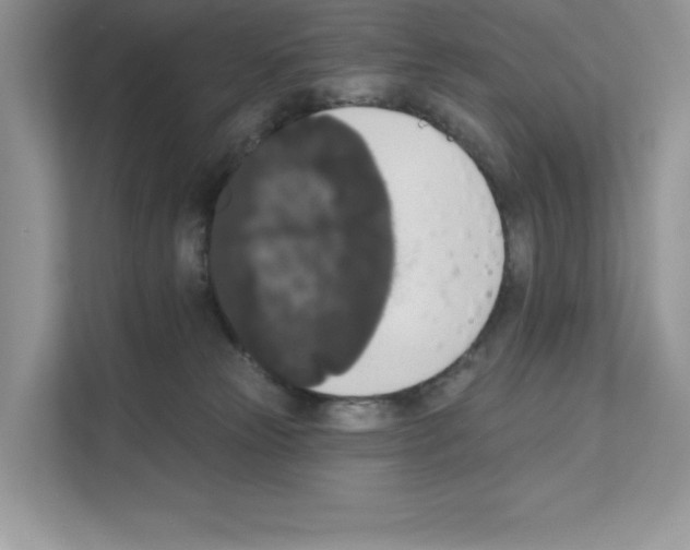 X0000111020181200907310939