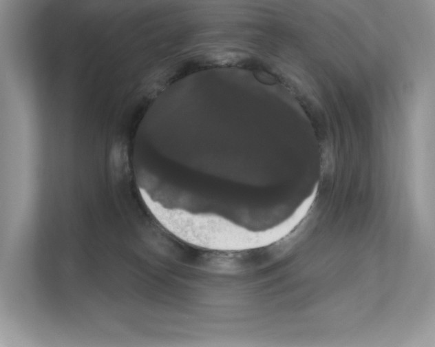 X0000111020182200907310939