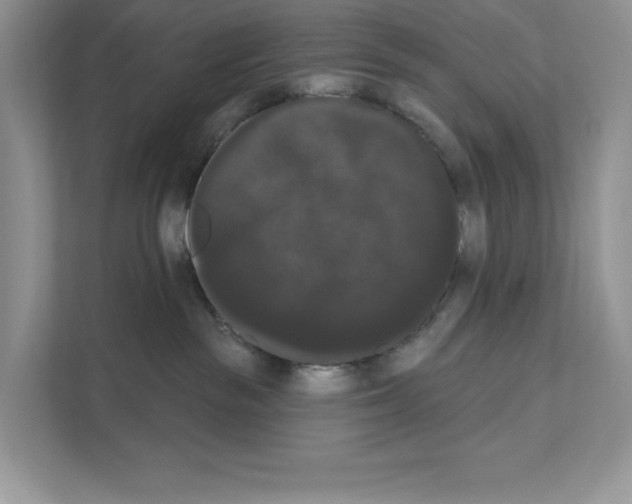 X0000111020189200907310939