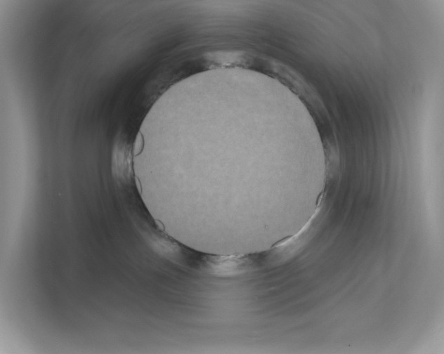 X0000111020191200907310939