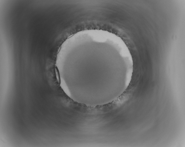 X0000111020192200907310939