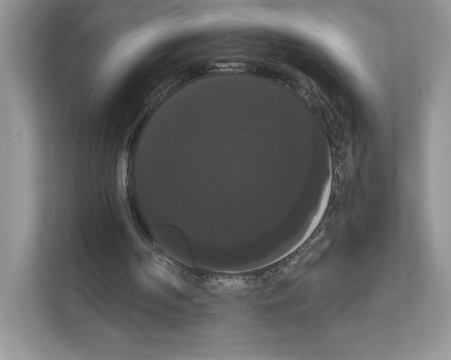 X0000111020194200907310939