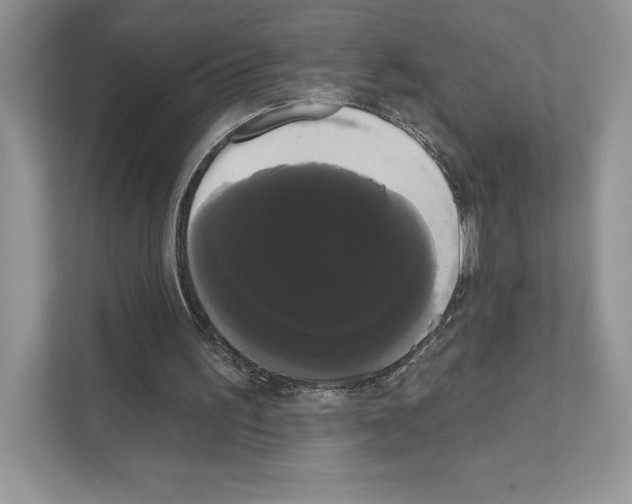X0000111020195200907310939