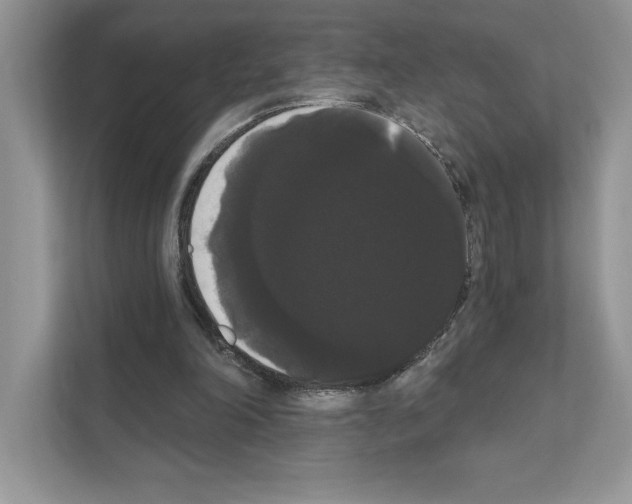 X0000111020198200907310939