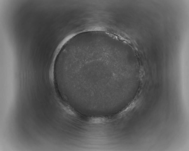 X0000111020200200907310938