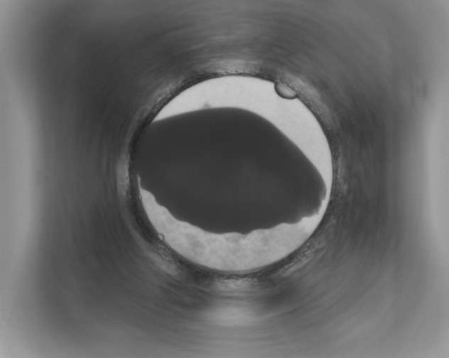 X0000111020202200907310938