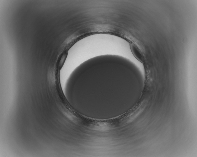 X0000111020203200907310938