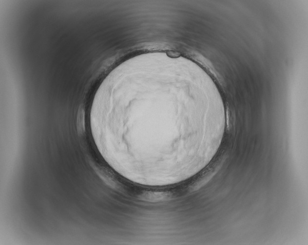 X0000111020205200907310938