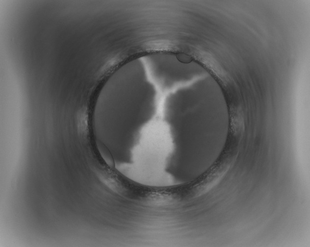 X0000111020207200907310938