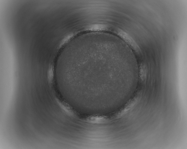X0000111020208200907310938