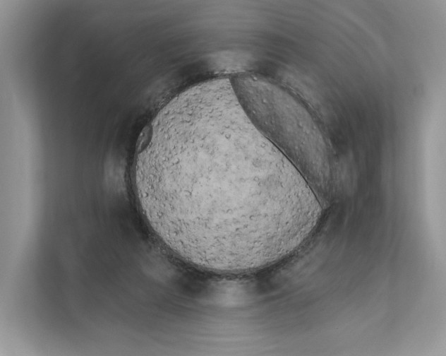 X0000111020209200907310938