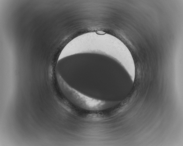 X0000111020211200907310938