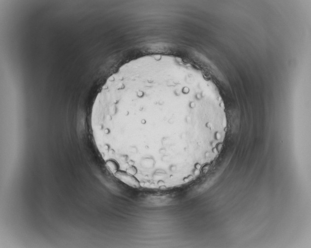 X0000111020213200907310938