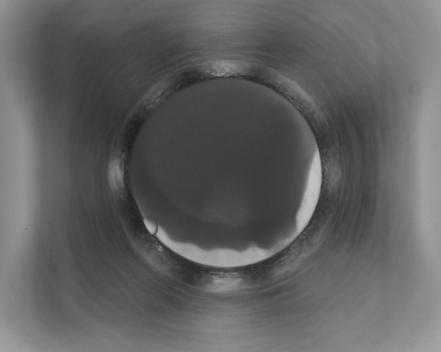 X0000111020214200907310938
