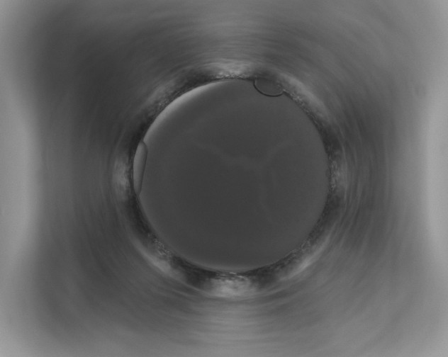 X0000111020215200907310938