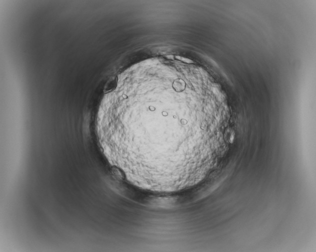 X0000111020217200907310938