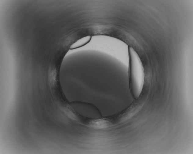 X0000111020219200907310938