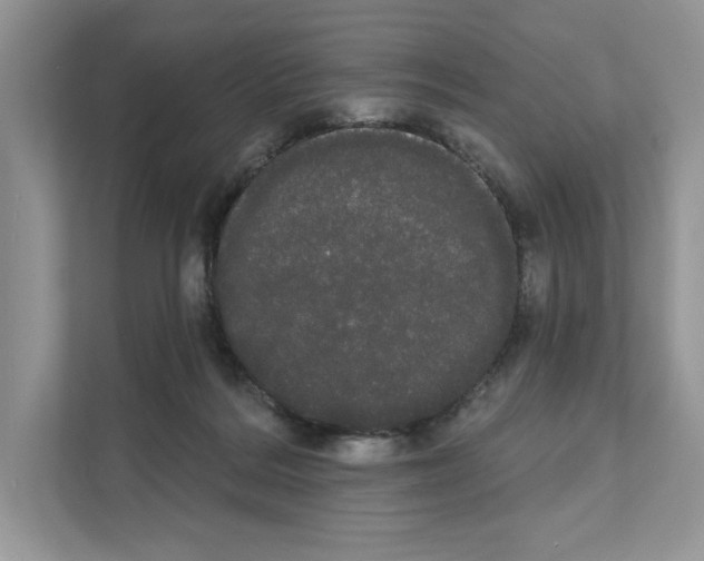 X0000111020220200907310938