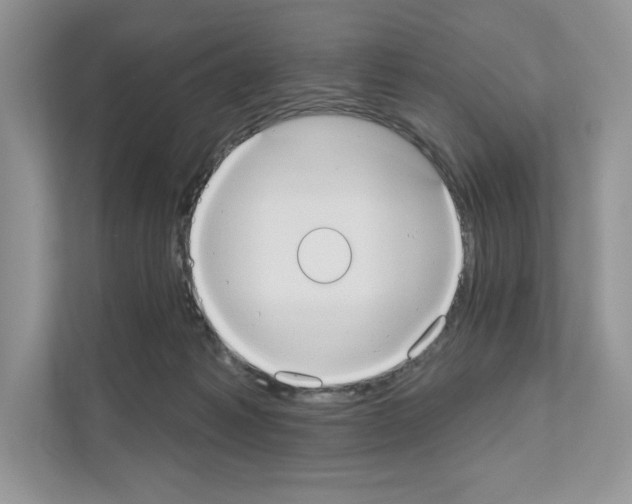 X0000111020221200907310938