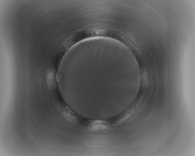 X0000111020222200907310938