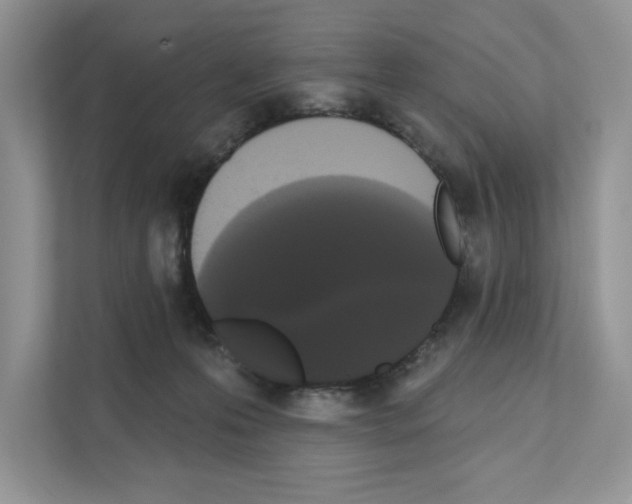 X0000111020223200907310938