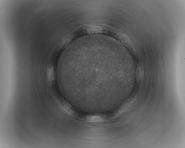 X0000111020224200907310938
