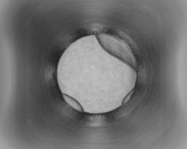 X0000111020225200907310938