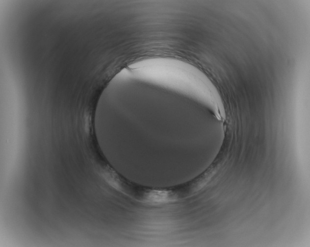 X0000111020227200907310938