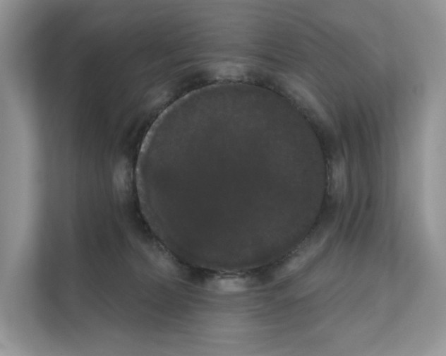 X0000111020228200907310938