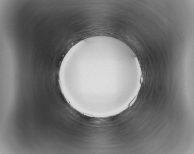 X0000111020229200907310938